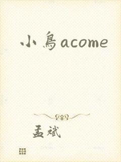 小鸟acome
