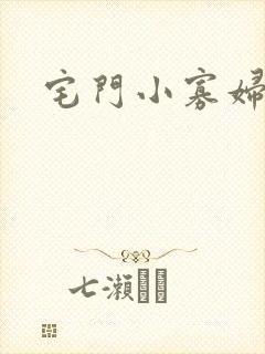 宅门小寡妇