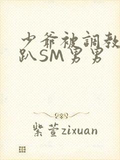 少爷被调教室跪趴SM男男