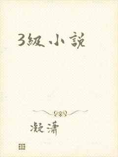 3级小说
