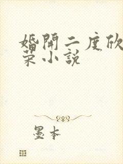 婚开二度欣欣向荣小说