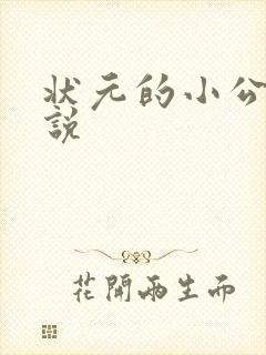 状元的小公主小说