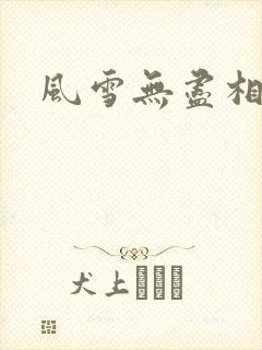 风雪无尽相思情