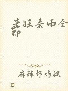 老旺秦雨全部章节