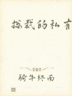 总裁的私有宝贝