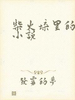 柴火垛里的疯狂小说