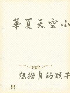 华夏天空小说网