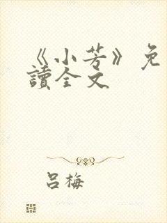《小芳》免费阅读全文