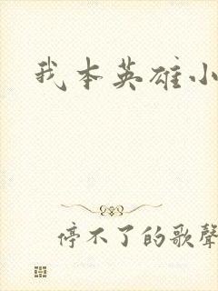 我本英雄小说