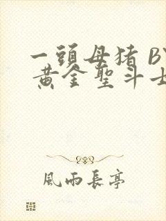 一头母猪 BY 黄金圣斗士