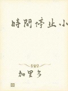 时间停止小说