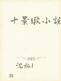 十景缎小说