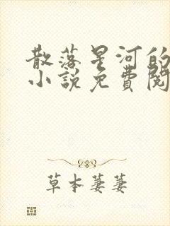 散落星河的记忆小说免费阅读全文