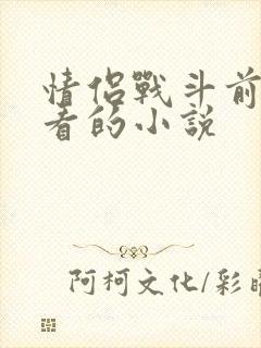 情侣战斗前适合看的小说