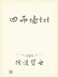 四面墙txt