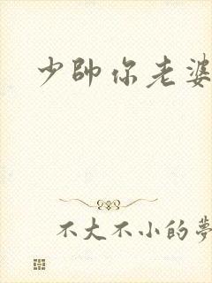 少帅你老婆