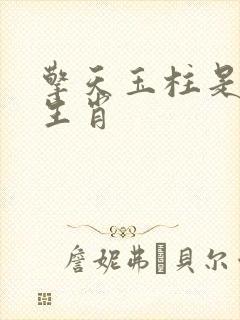 擎天玉柱是什么生肖