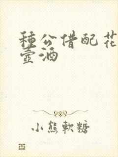 种公借配花间一壶酒