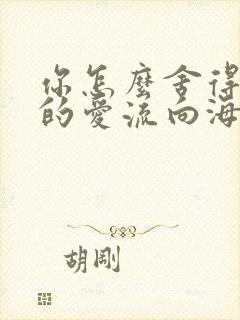 你怎么舍得让我的爱流向海