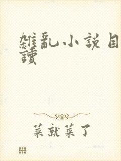 杂乱小说目录阅读