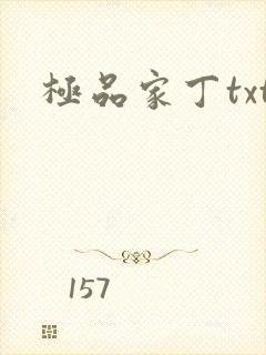 极品家丁txt