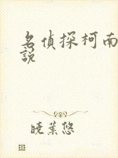 名侦探柯南h小说