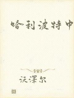 哈利波特中文版