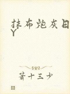 抹布炮灰日记BY