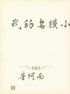 我的名模小娇妻