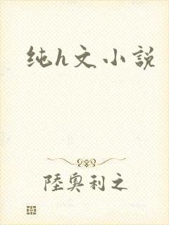 纯h文小说