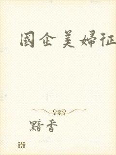 国企美妇征途