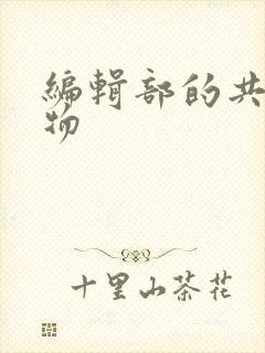 编辑部的共享玩物