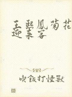 王熙凤菊花门初迎来客