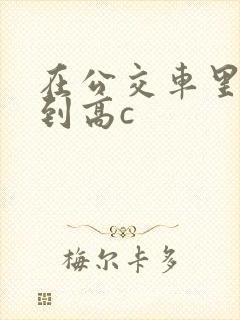 在公交车里c弄到高c