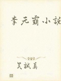 李元霸小说