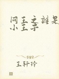 网王之谁是我的小王子