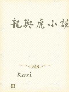 龙与虎小说