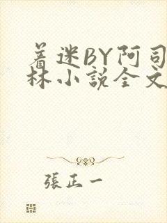 着迷BY阿司匹林小说全文免费阅读