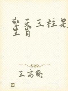 擎天玉柱是什么生肖