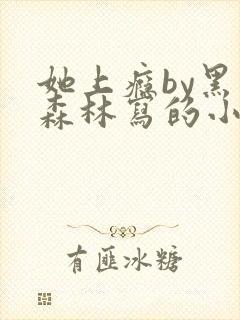 她上瘾by黑暗森林写的小说免费阅读无弹窗