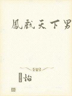 凤戏天下男