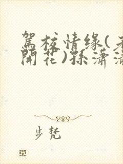 驾校情缘(老树开花)孙潇潇笔趣阁