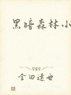 黑暗森林小说