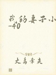 我的妻子小谨1-40