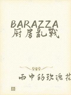 BARAZZA厨房乱战