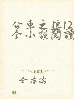 公车之狼12集全小说阅读