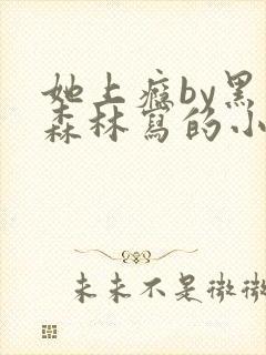 她上瘾by黑暗森林写的小说免费阅读无弹窗