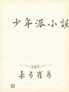 少年派小说