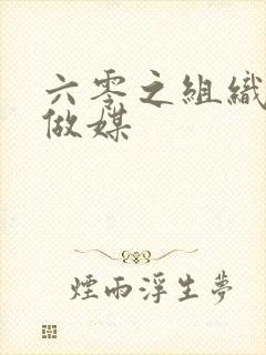 六零之组织给我做媒