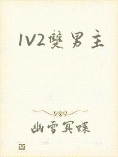 1V2双男主